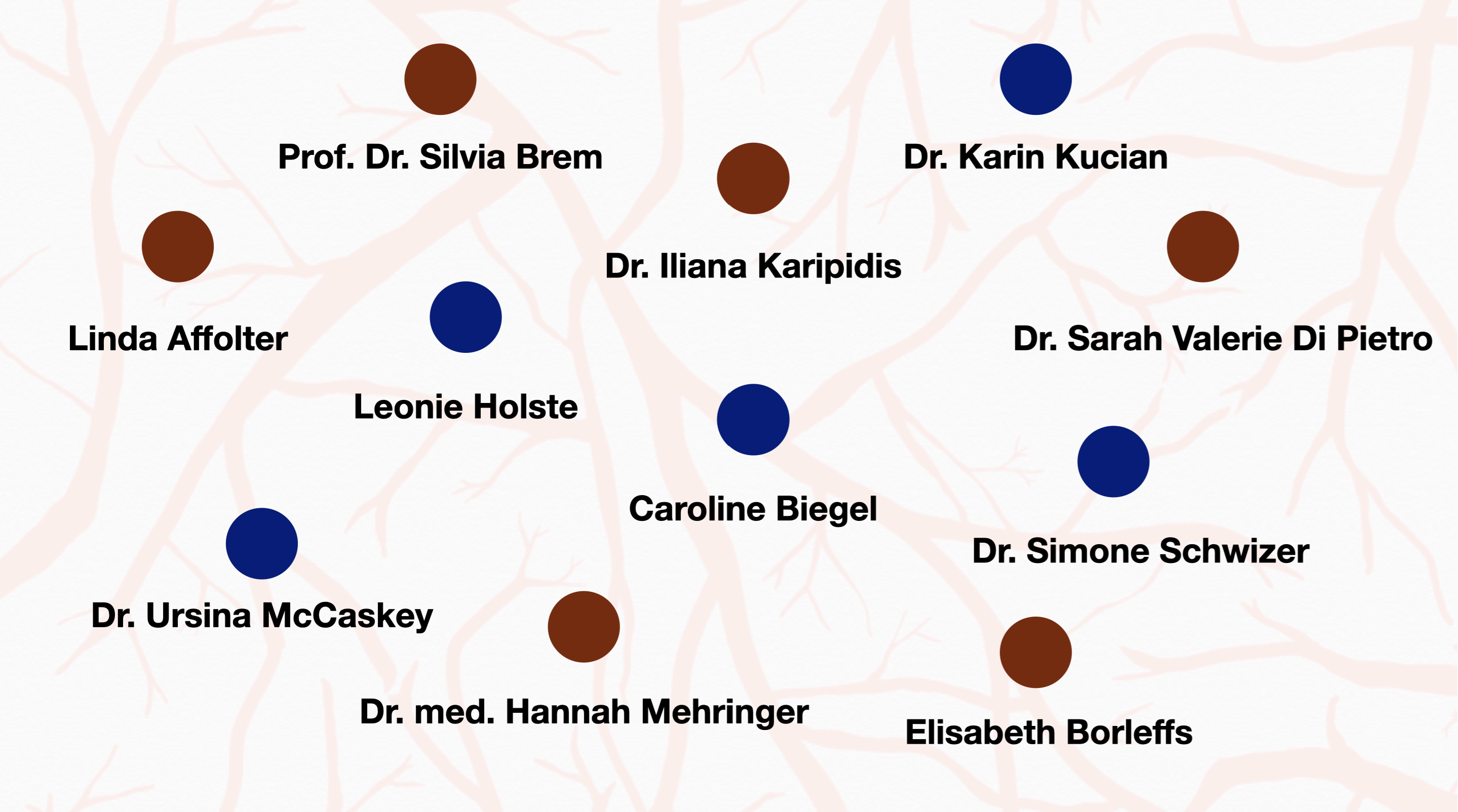 Teamübersicht Stand Dezember 2025